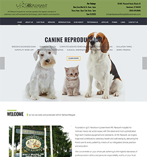 Mt Pleasant Hospital website by Lee Info Solutions, Kerala